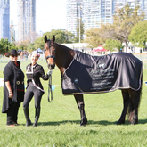Black Show Rug with Metallic Rose Gold Trims